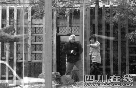 上海 虎年出生人口_虎年出生的人 什么日子出生的人天生好命