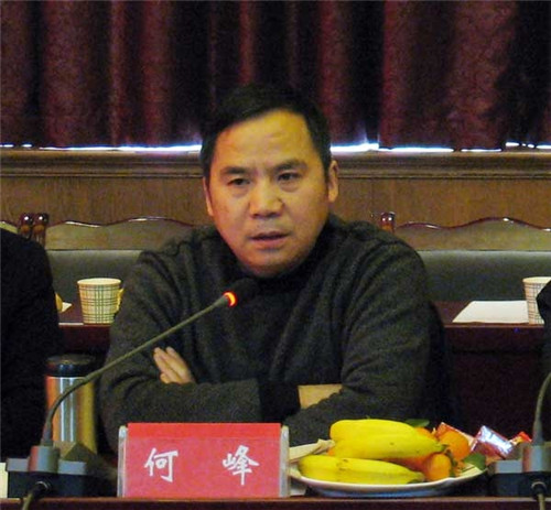 何峰董事长_合肥学院何峰(3)